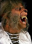 Beast Muttonchop Sideburns