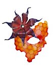 Bienenkönigin Ledermaske