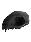 Calavera De Gato Impresa En 3D Para Pintar (12cm)