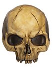 Calavera Decorativa Partida por la Mitad de Resina - Mellada