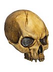Calavera Decorativa Partida por la Mitad de Resina - Mellada