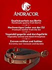 Cinturón Medieval Con Anillas - Vogt