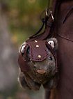 Cobaya de Combate - Louis