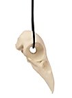 Colgante de Calavera de Cuervo Impresión 3D con Cordón de Cuero (11cm)