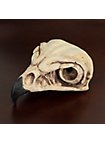 Cráneo De Halcón Impreso En 3D Para Pintar (11cm)