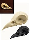 Cranio di corvo comune stampato in 3D da dipingere (7cm)