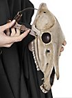 Dierenmasker - Paardenschedel