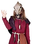 Dierenmasker - Paardenschedel