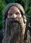 Ensemble barbe de nain avec perruque