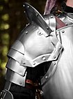 Ensemble complet d'armure - Capitaine