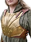 Ensemble complet d'armure - Illumine