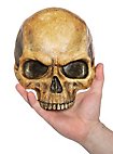 halved deco skull made of resin