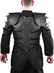 Leather Armour with shoulders - Dragon Rider
