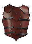 Leather Armour with shoulders - Dragon Rider