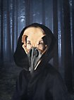 Maschera animale - teschio di corvo