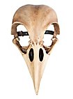 Maschera animale - teschio di corvo