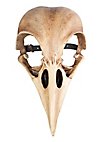 Masque d'animal - Crâne de corbeau