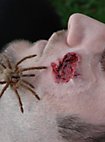 Nid d'araignée - Blessure en latex à coller