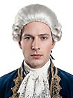 Peluca Barroca Mozart Con Coleta
