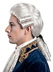 Peluca Barroca Mozart Con Coleta
