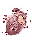 Pequeño Corazón De Silicona - Rellenable Con Sangre Artificial (12 cm)