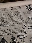 Pergamena di lino - Studioso