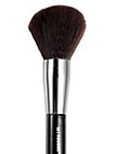 Powder brush