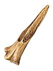 Pugnale da lancio - Arma imbottita Bone