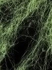 Ragnatela elastica e fosforescente