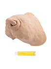 Rat Latex Snuit Met Mastix