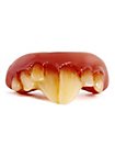Rat Teeth 