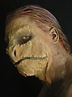 Reptile Latex Mask to stick on