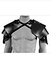 Rogue Leather Shoulder Guards 