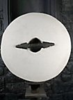 Schildrohling - Rundschild