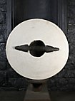 Schildrohling - Rundschild