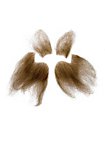 Set Deluxe De Hombre Lobo