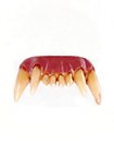 Set Deluxe De Hombre Lobo