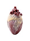 Small silicone heart - can be filled with fake blood (12 cm)