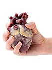 Small silicone heart - can be filled with fake blood (12 cm)