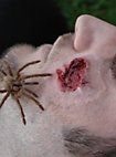 Spider Attack, Kleber, Blut
