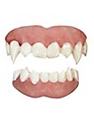 Teeth FX Vampire Teeth 