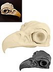 Teschio di aquila stampato in 3D da dipingere (16cm)
