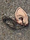 Trophy - Latex Halfling ear