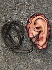 Trophy - Latex Human ear