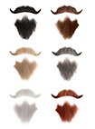 Tycoon Professional Beards Made of Real Hair