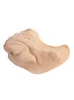 Weerwolf Latex Snuit Met Mastix