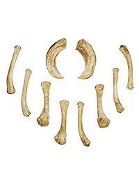 Set di ossa in resina fusa - indovino (10 pezzi)