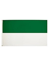 Bandiera verde-bianca