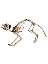 Gatto scheletro decorazione di Halloween
