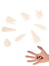 3D-Druck - 8 Stk. menschliche Zähne mit Schraubdose